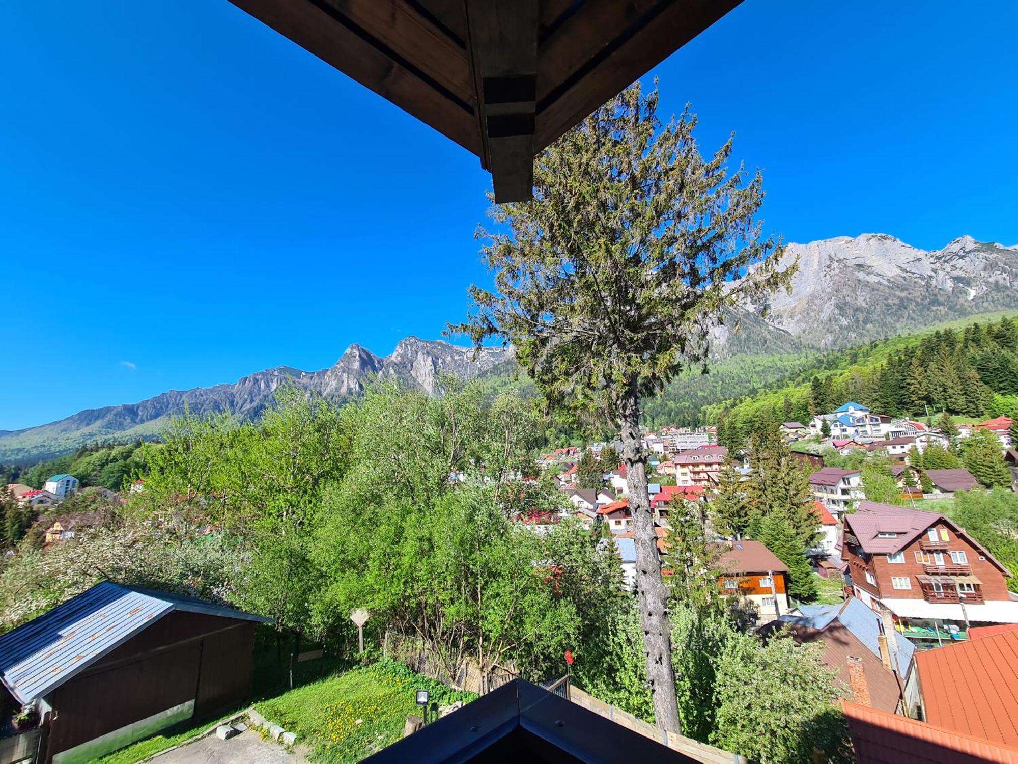 Casa Florescu Buşteni エクステリア 写真