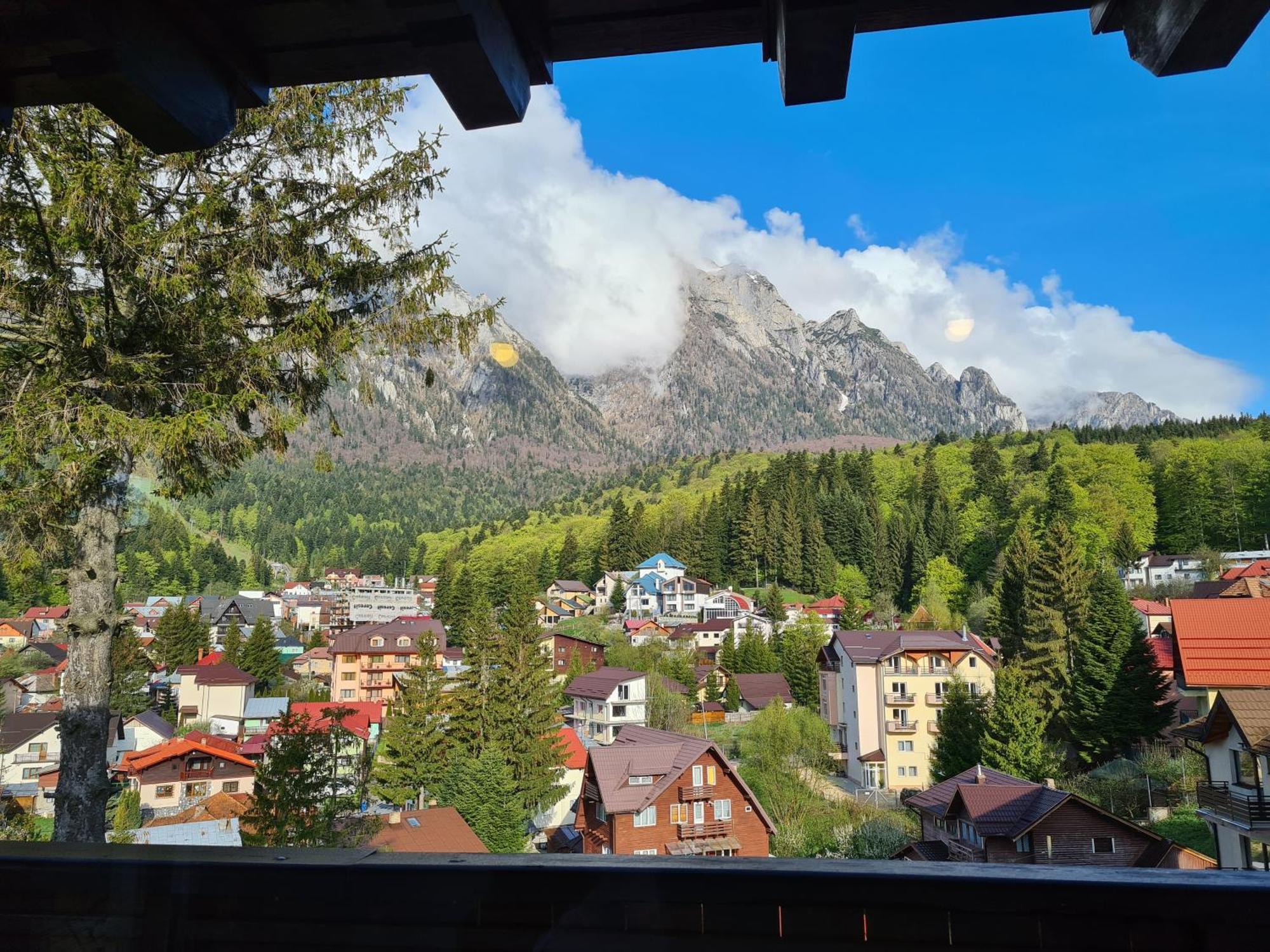 Casa Florescu Buşteni エクステリア 写真