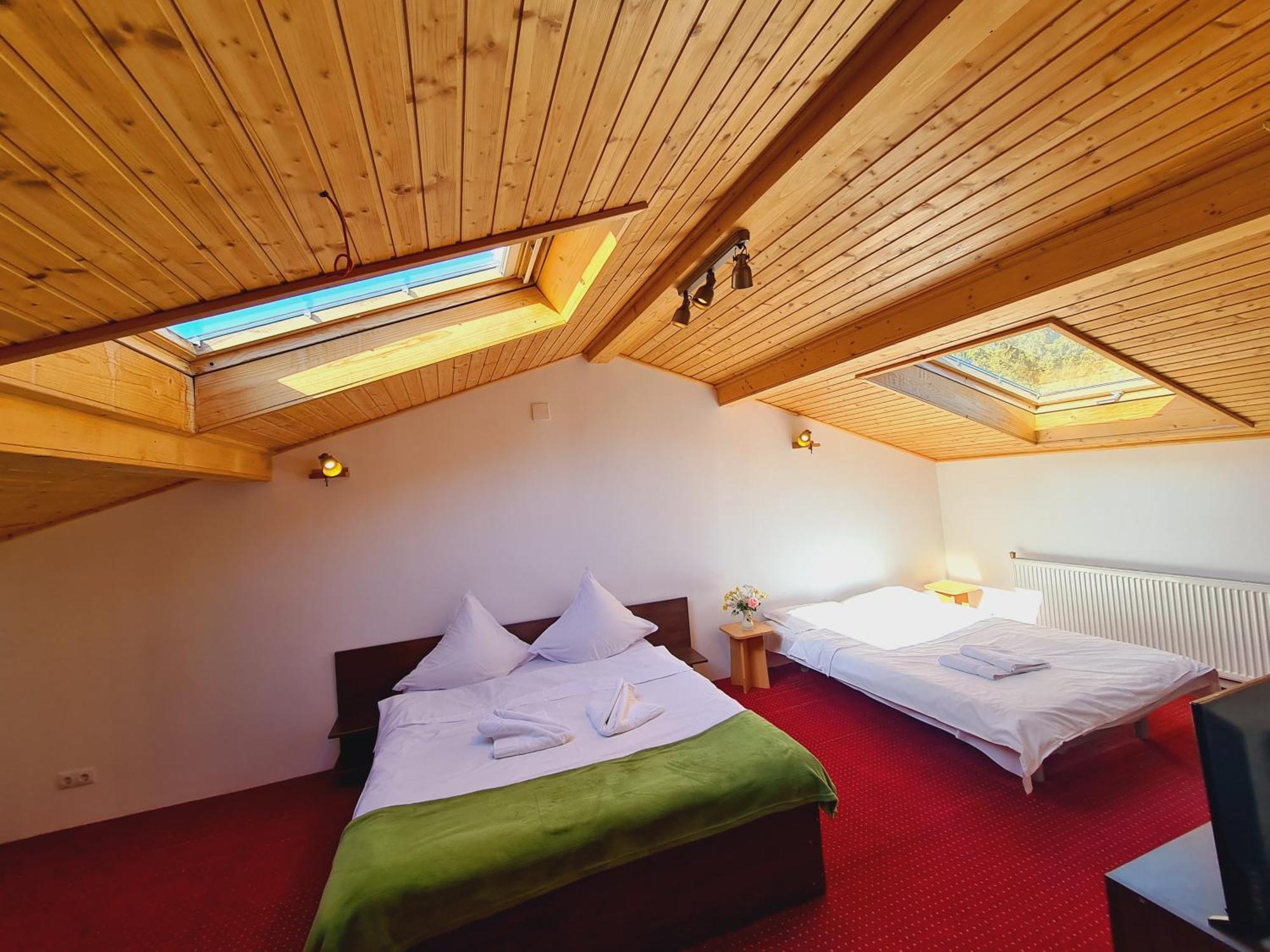 Casa Florescu Buşteni エクステリア 写真