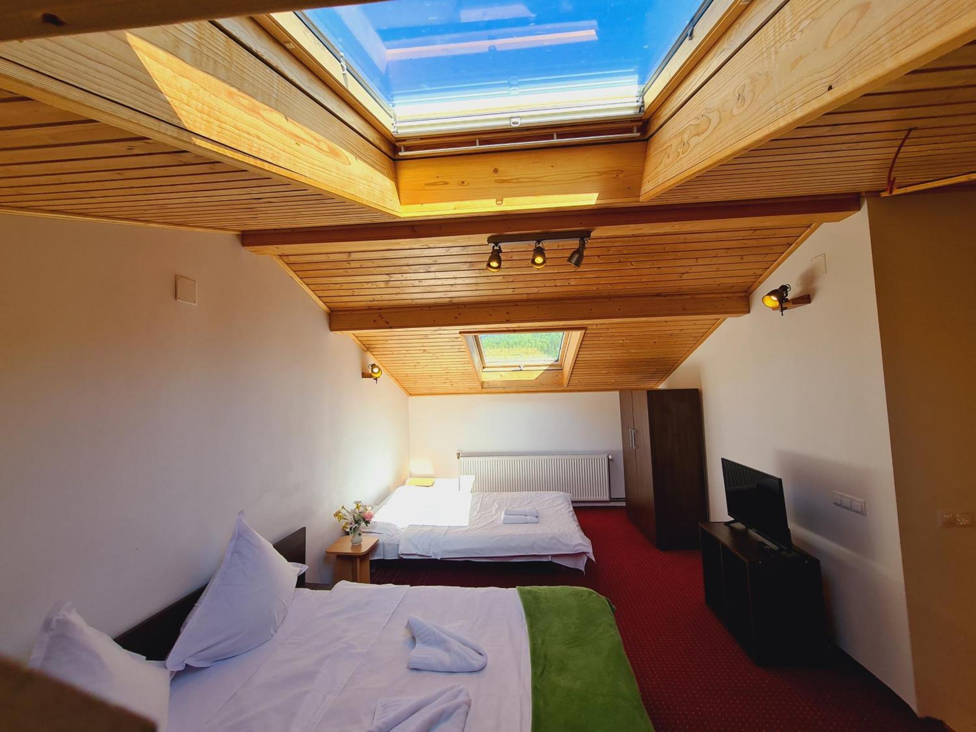 Casa Florescu Buşteni エクステリア 写真