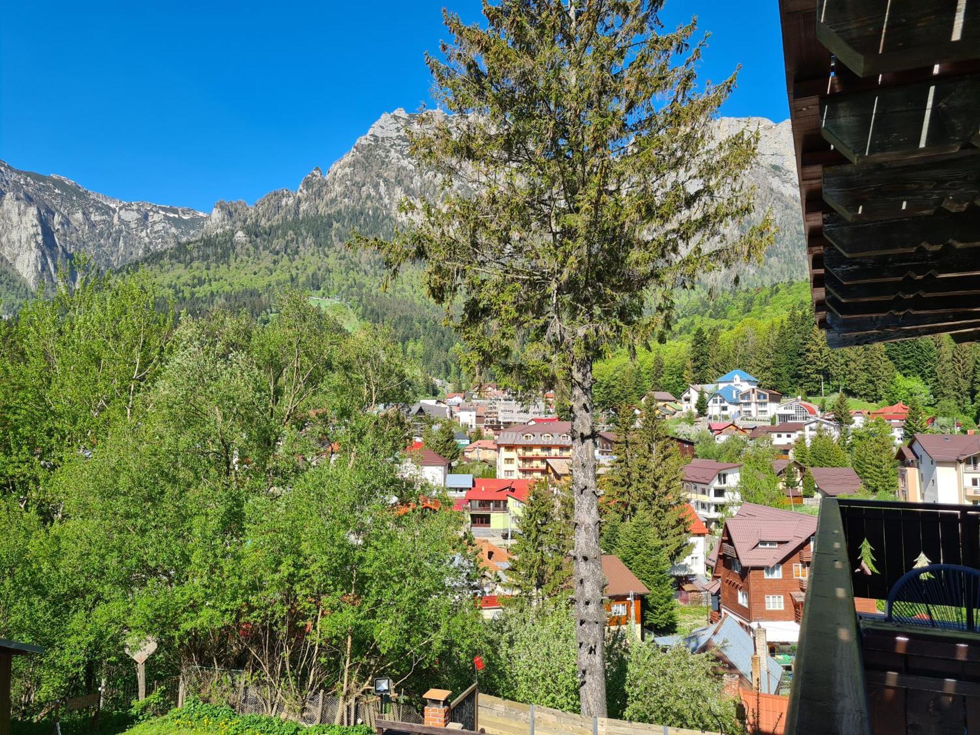 Casa Florescu Buşteni エクステリア 写真
