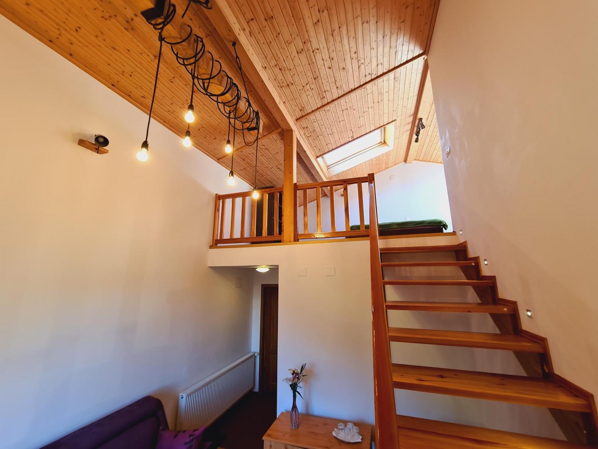 Casa Florescu Buşteni エクステリア 写真