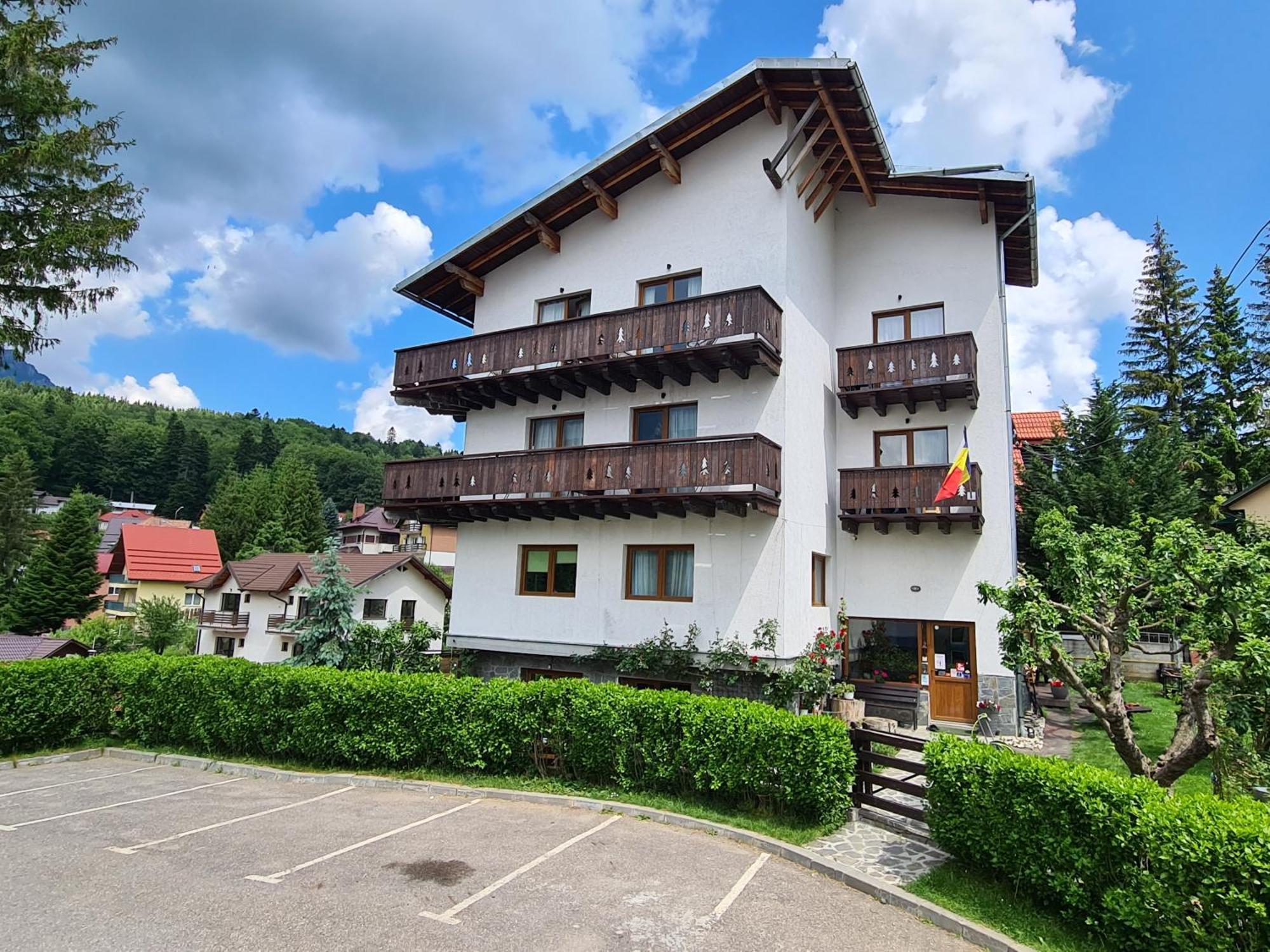 Casa Florescu Buşteni エクステリア 写真